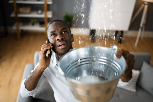Best Flooded house restoration  in Fayette, LA