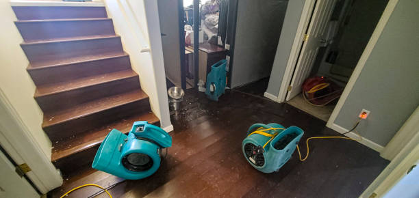 Trusted Lafayette, LA Water damage restoration Experts