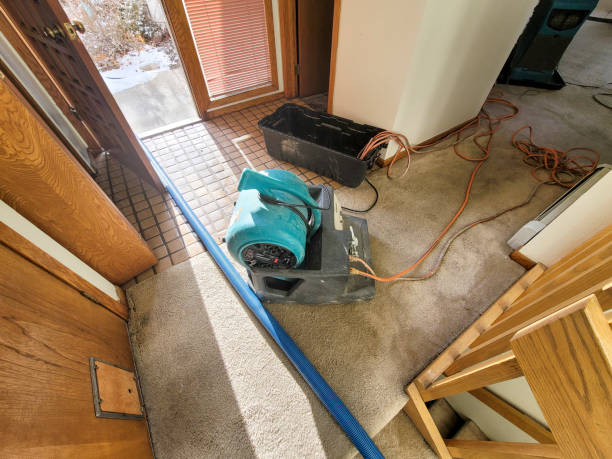 Best 24-hour water damage restoration  in Fayette, LA
