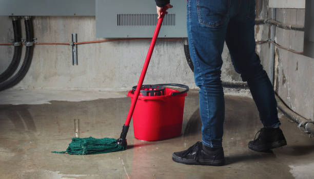 Best Local water damage restoration  in Fayette, LA