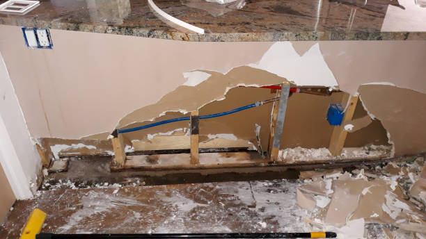 Best Water damage restoration cost  in Fayette, LA