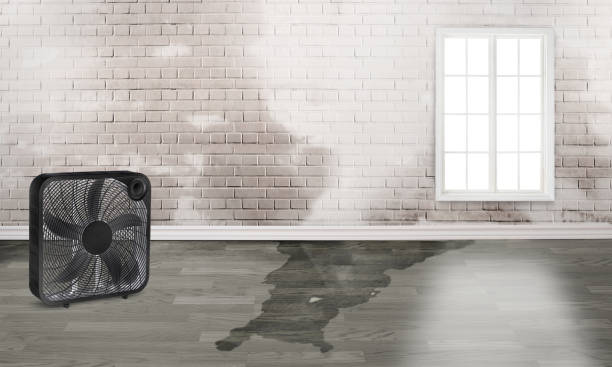 Best Emergency water damage restoration  in Fayette, LA