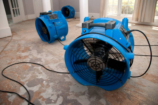 Best Water damage restoration near me  in Fayette, LA