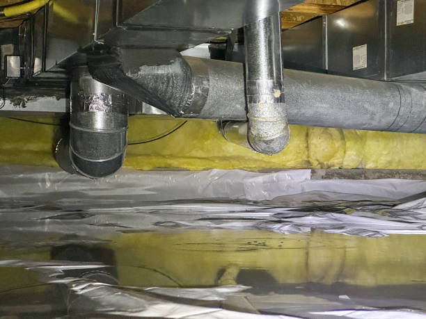Best Water damage restoration near me  in Fayette, LA