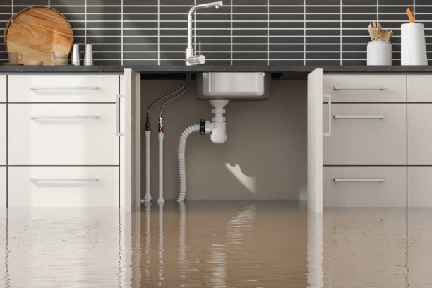 Best Water damage contractors near me  in Fayette, LA