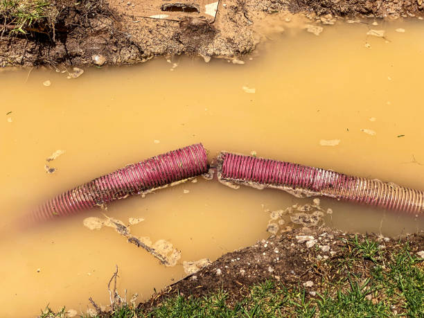  Fayette, LA Water damage restoration Pros
