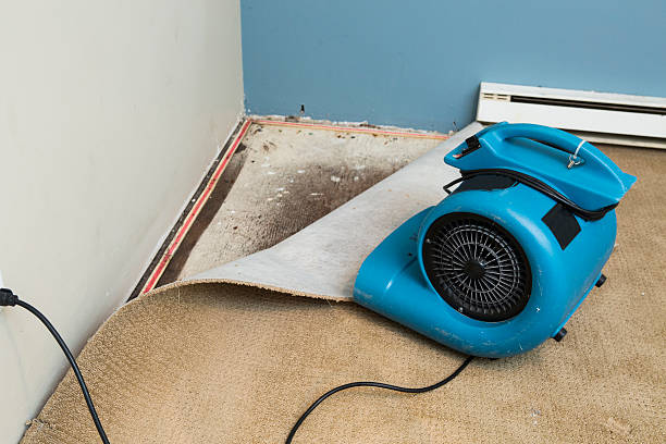 Best 24/7 water damage repair  in Fayette, LA